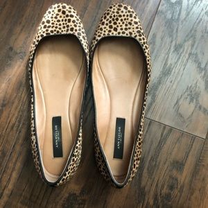Ann Taylor leopard print flats